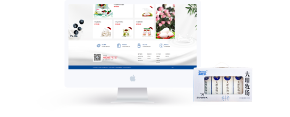 昆明奧遠(yuǎn)科技 專業(yè)網(wǎng)站建設(shè)與新媒體運(yùn)營(yíng)服務(wù)專家