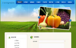 云南新華電腦學院官方網站 融合地域特色與現代美學的網頁設計典范